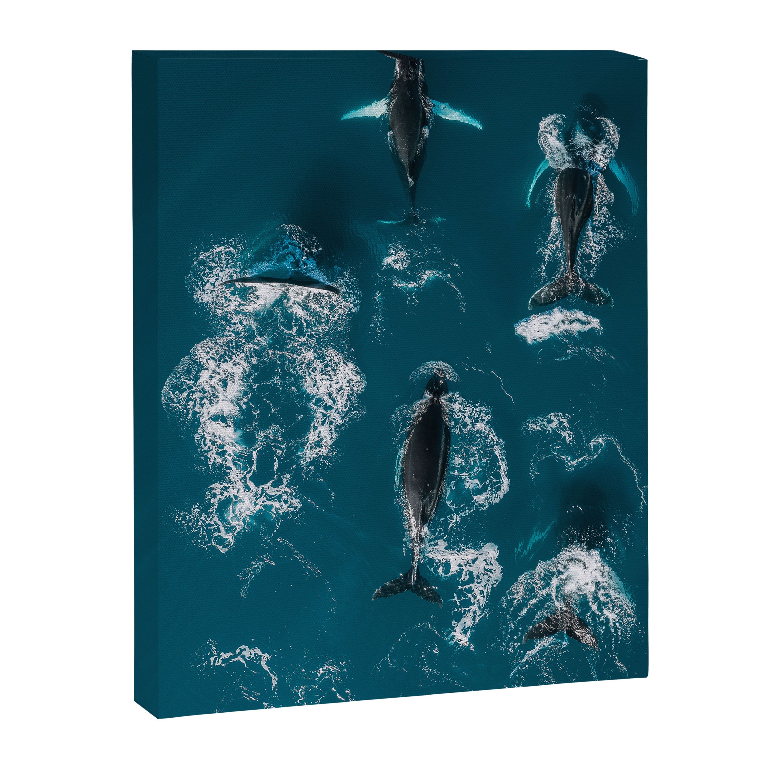 Humpback Whales In The Arctic Canvas Print Gallery Image 6
