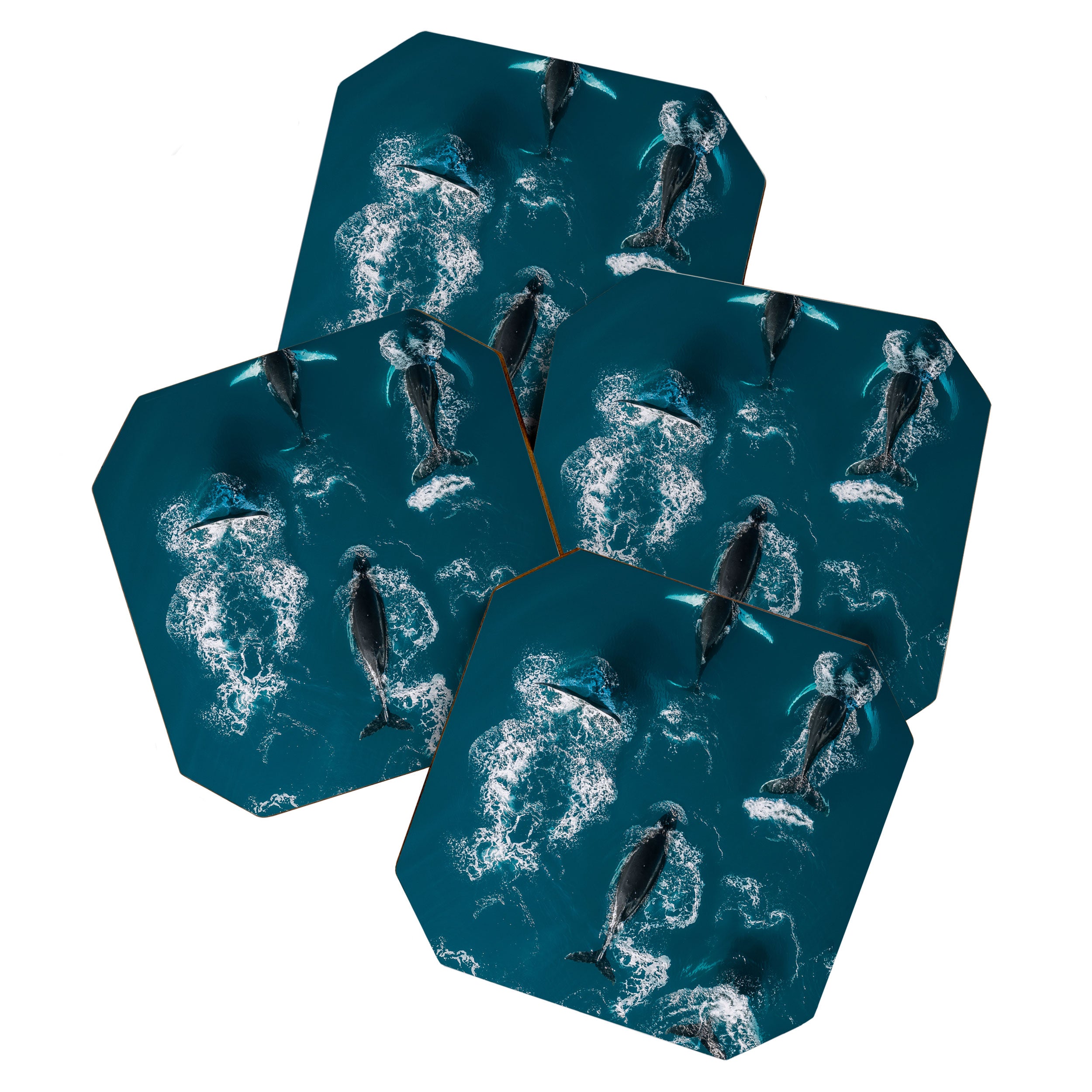 Humpback Whales In The Arctic Coaster Gallery Image 1