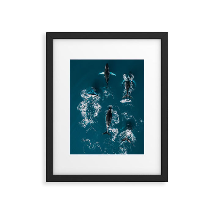 Humpback Whales In The Arctic Framed Art Print Gallery Image 1