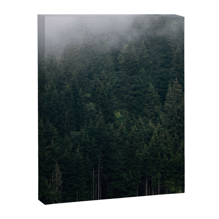 Mystic Pines - A Forest in the Fog Canvas Print Gallery Image 1
