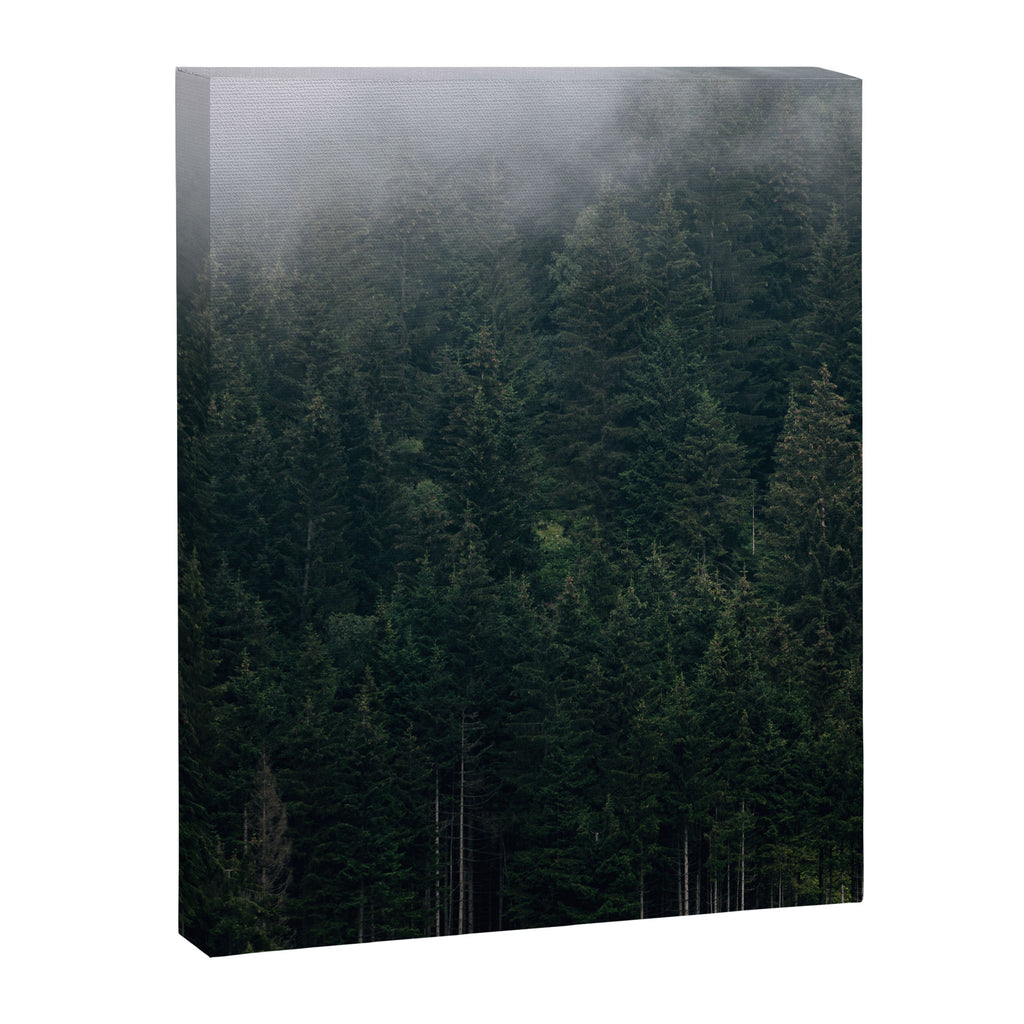 Mystic Pines - A Forest in the Fog Canvas Print Gallery Image 6
