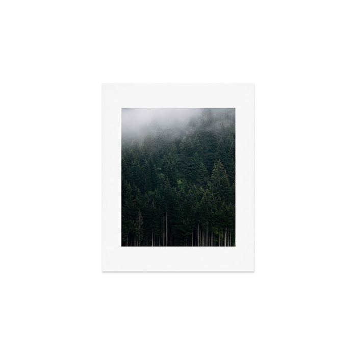 Mystic Pines - A Forest in the Fog Art Print Gallery Image 1