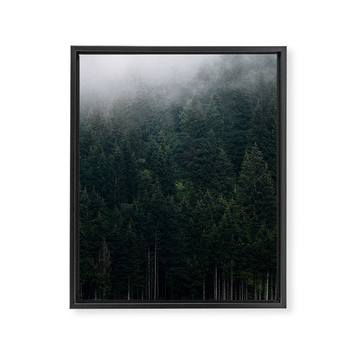 Mystic Pines - A Forest in the Fog Framed Canvas Print Gallery Image 1