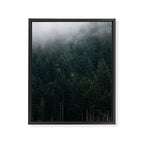 Mystic Pines - A Forest in the Fog Framed Canvas Print Gallery Image 6