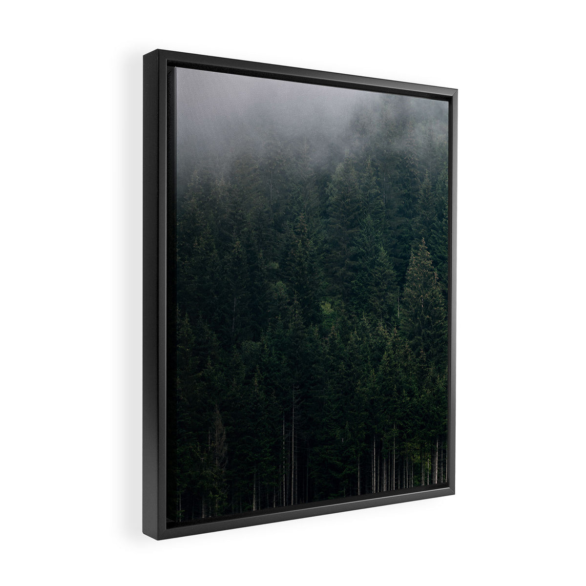 Mystic Pines - A Forest in the Fog Framed Canvas Print Gallery Image 2