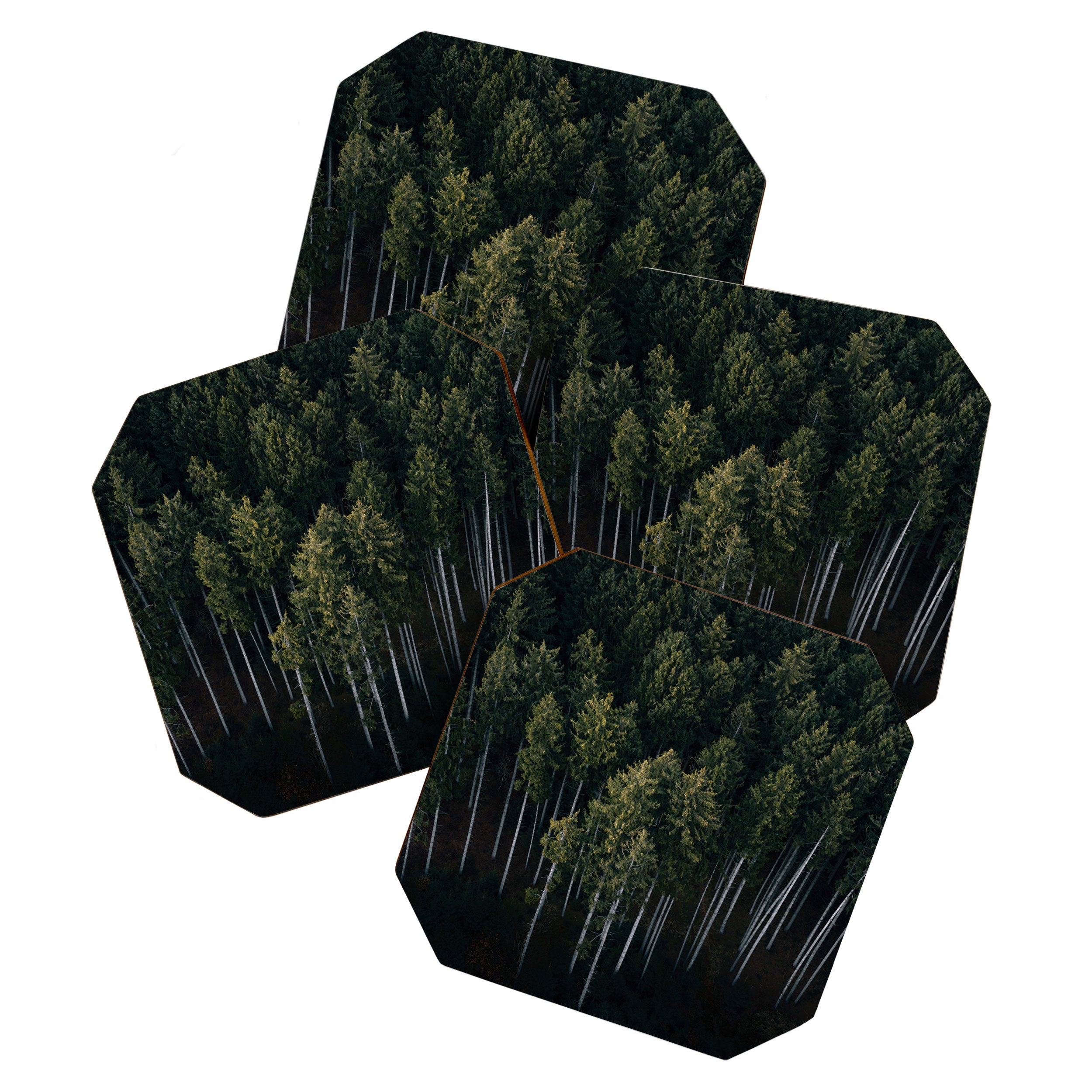 Pines From Above Coaster Gallery Image 1