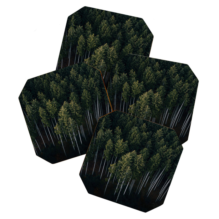 Pines From Above Coaster Gallery Image 1