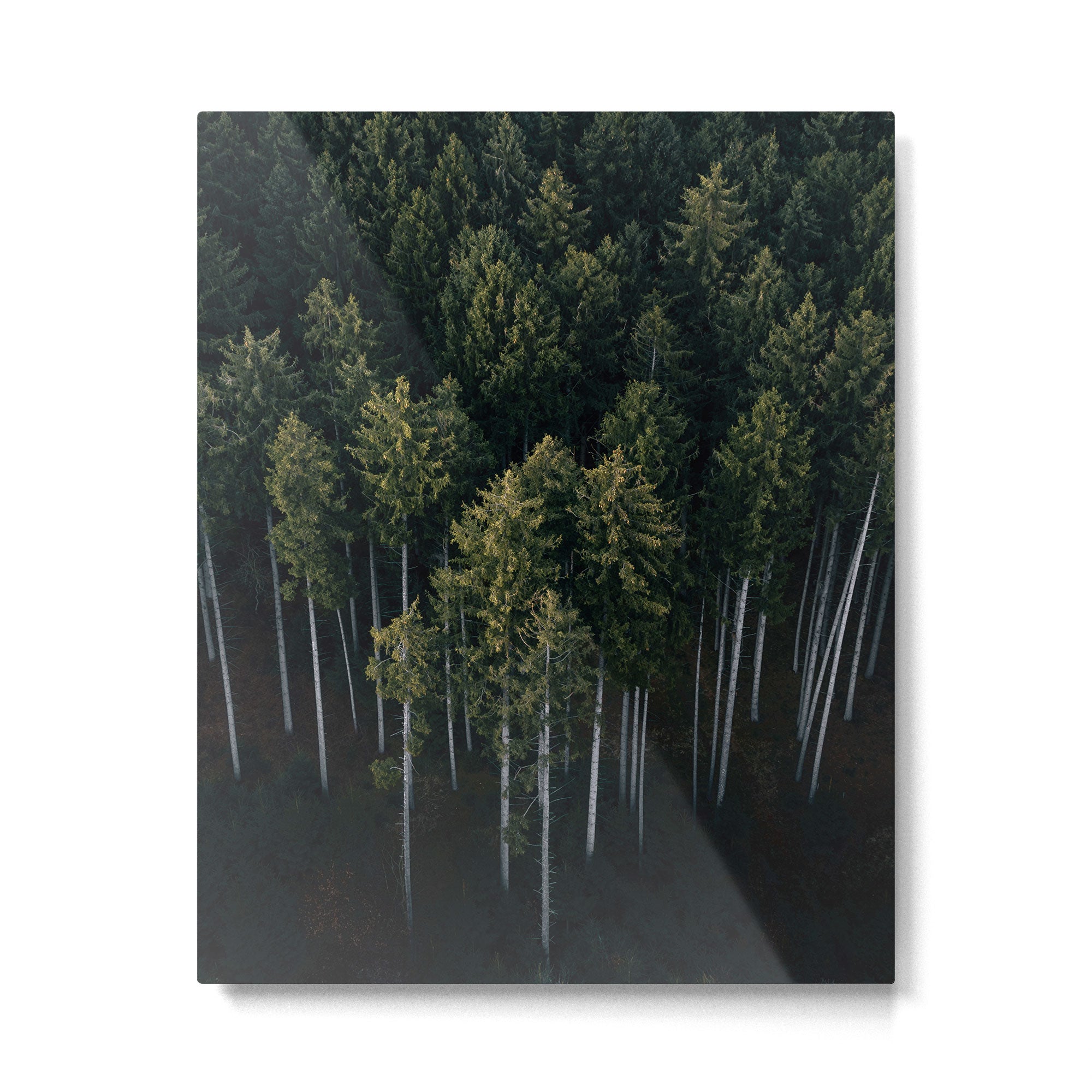 Pines From Above Metal Print Gallery Image 4