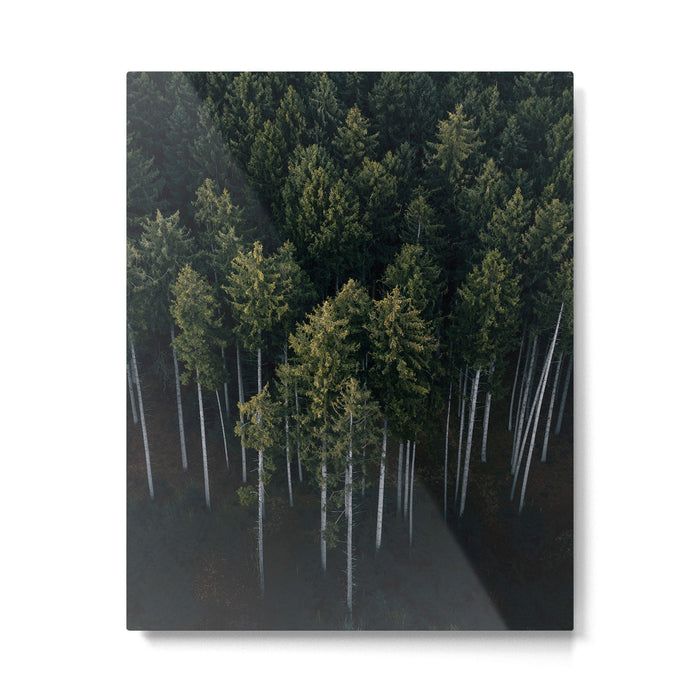 Pines From Above Metal Print Gallery Image 1