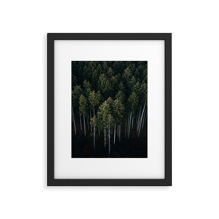 Pines From Above Framed Art Print Gallery Image 1