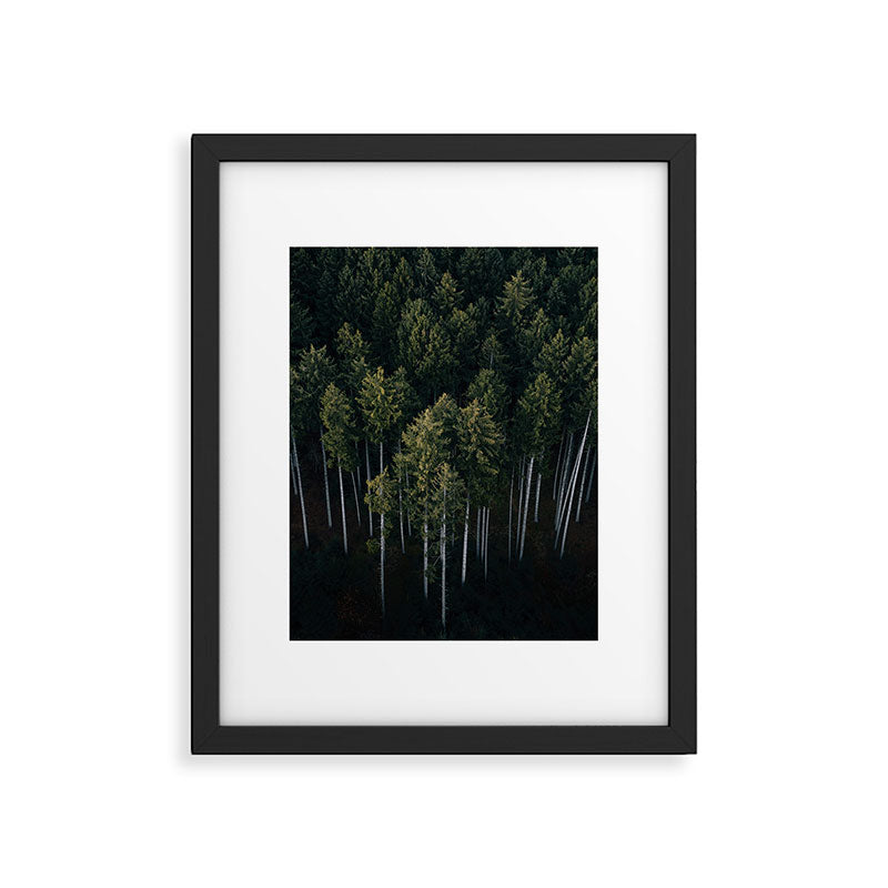 Pines From Above Framed Art Print Gallery Image 4