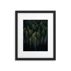 Pines From Above Framed Art Print Gallery Image 5