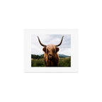 Scottish Highland Cattle Portrait Art Print Gallery Image 1