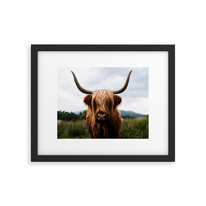 Scottish Highland Cattle Portrait Framed Art Print Gallery Image 5