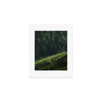 Sheep Trail in a Forest during a calm morning Art Print Gallery Image 1