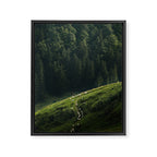 Sheep Trail in a Forest during a calm morning Framed Canvas Print Gallery Image 6