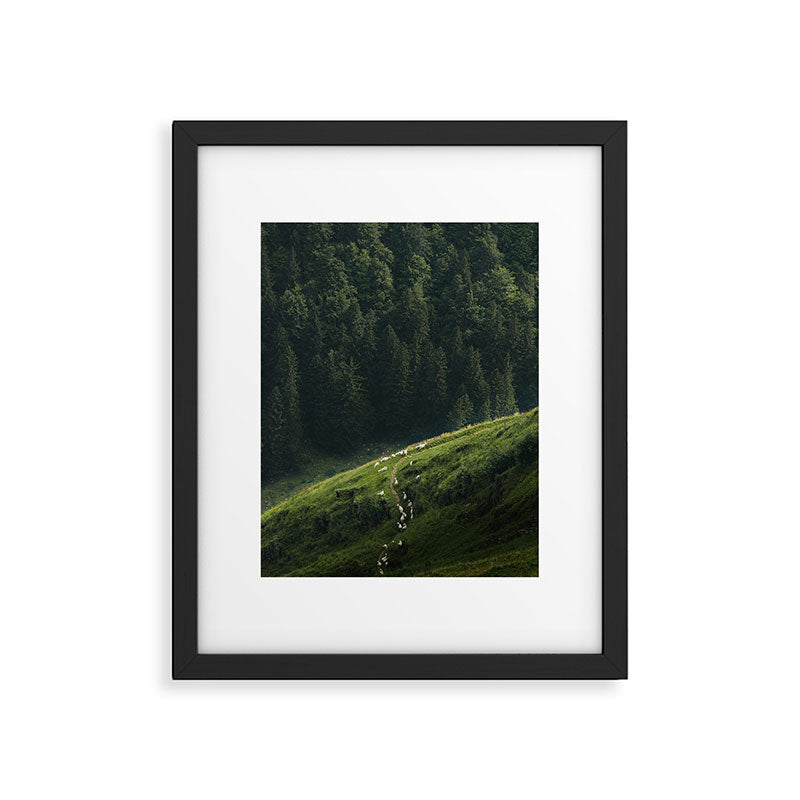 Sheep Trail in a Forest during a calm morning Framed Art Print Gallery Image 5