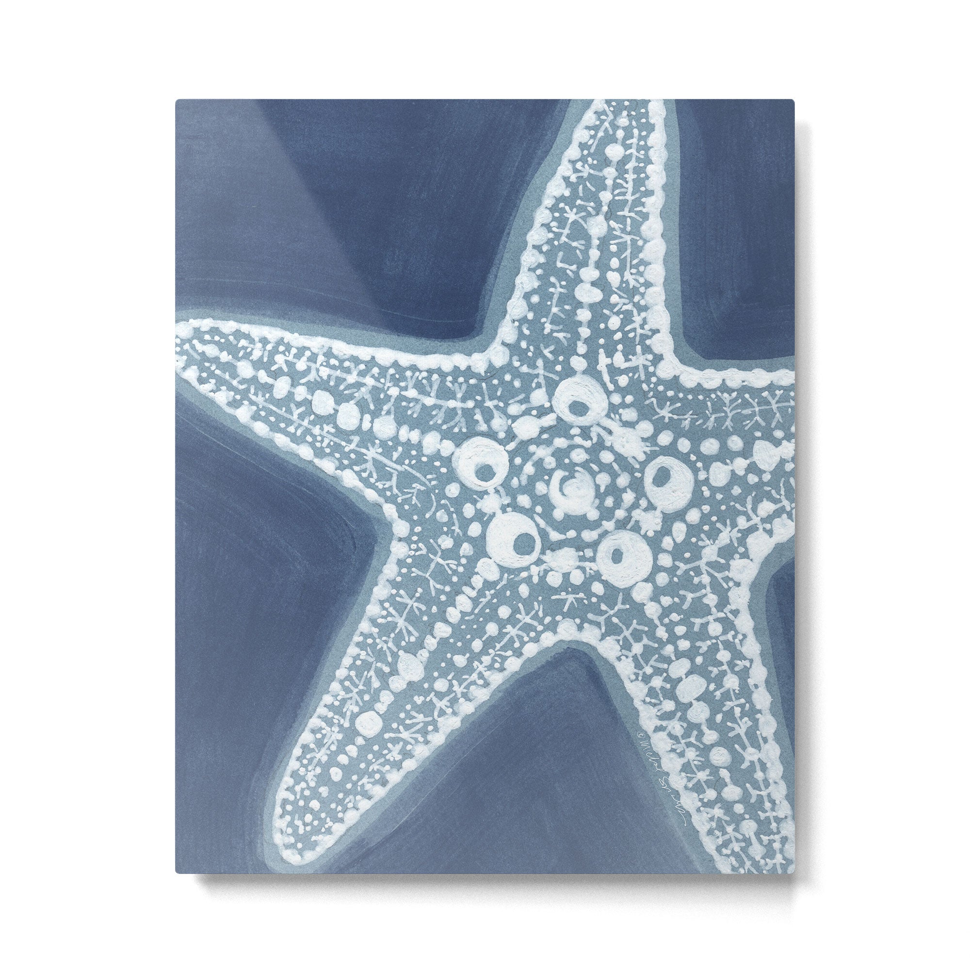 Starfish Blue and White Metal Print Gallery Image 6