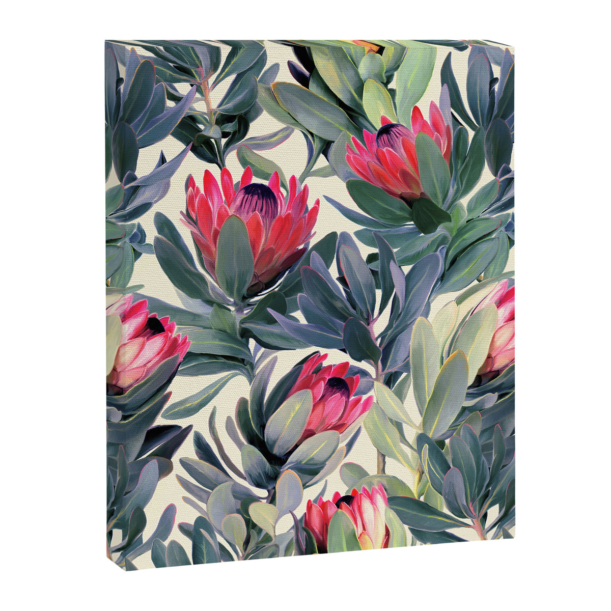 Painted Protea Pattern Canvas Print Gallery Image 6