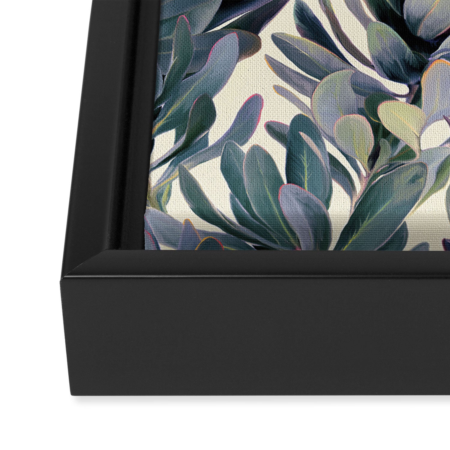 Painted Protea Pattern Framed Canvas Print Gallery Image 3