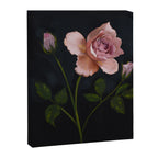 Rose Stem Canvas Print Gallery Image 6