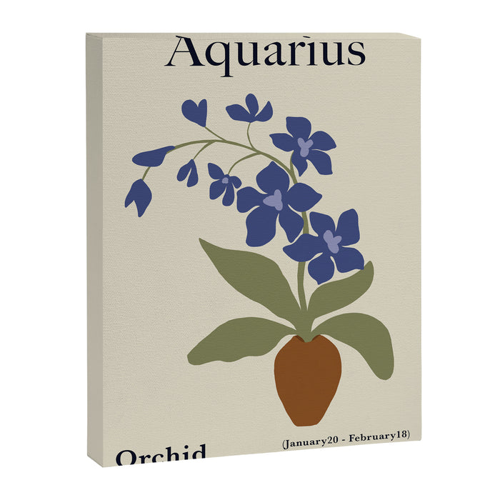 Aquarius Orchid  Canvas Print Gallery Image 1