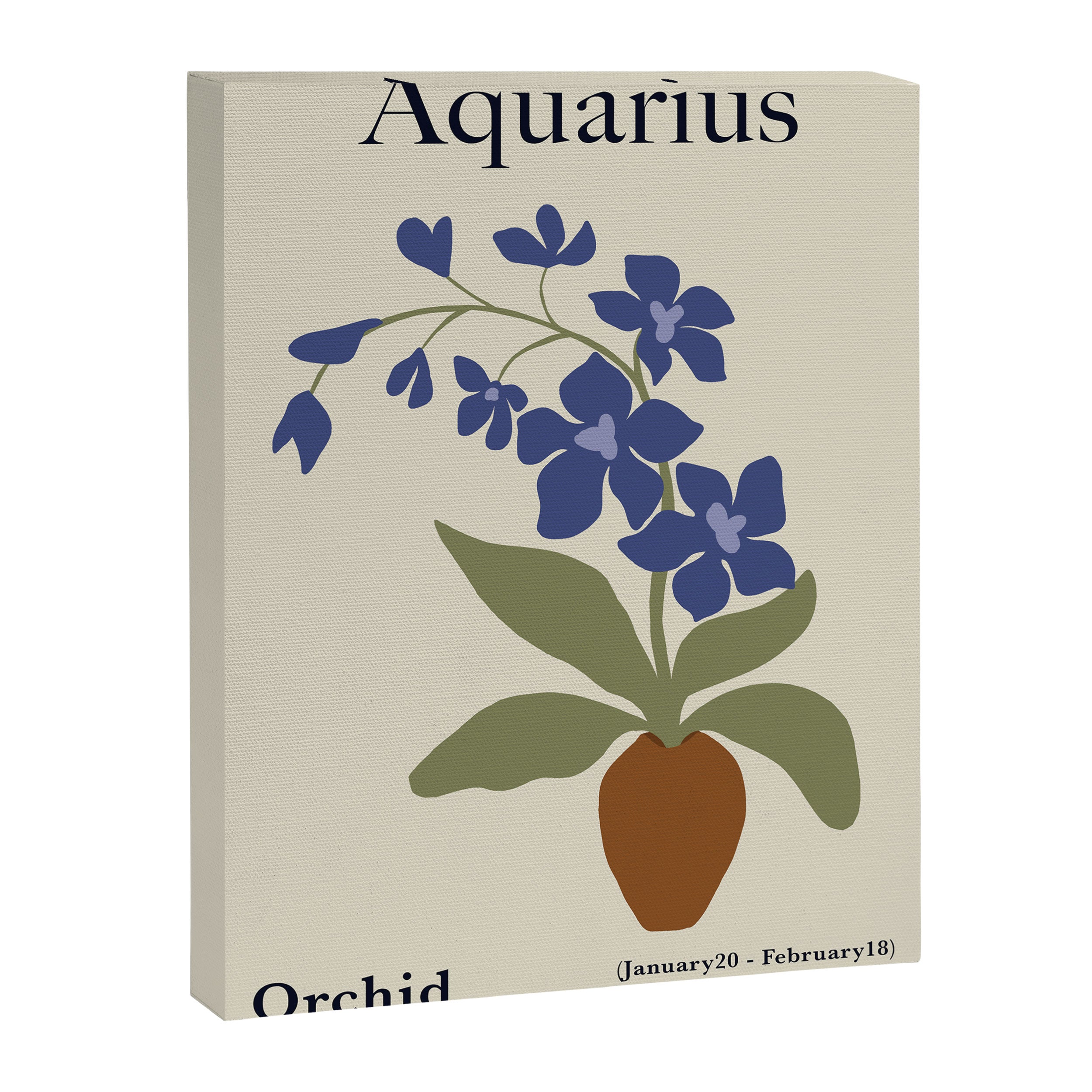 Aquarius Orchid  Canvas Print Gallery Image 6