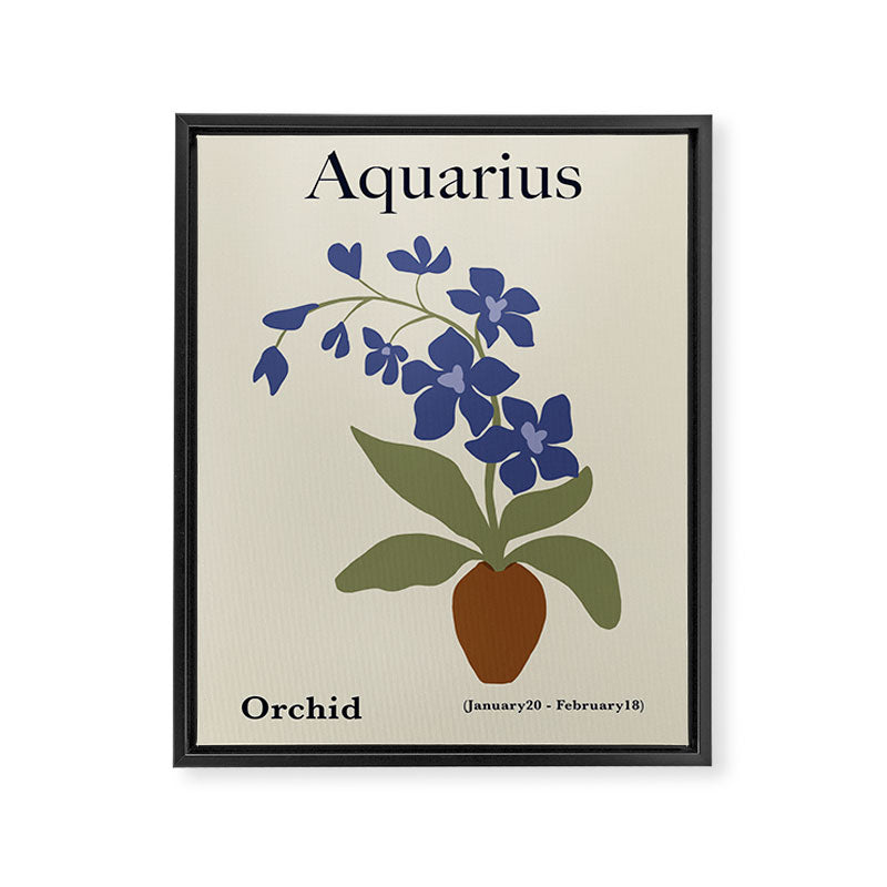 Aquarius Orchid  Framed Canvas Print Gallery Image 6
