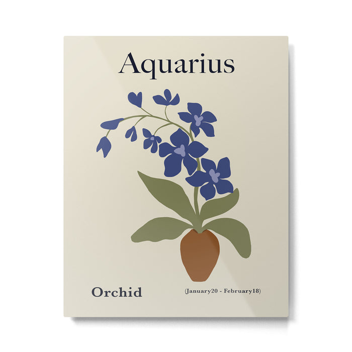 Aquarius Orchid  Metal Print Gallery Image 1