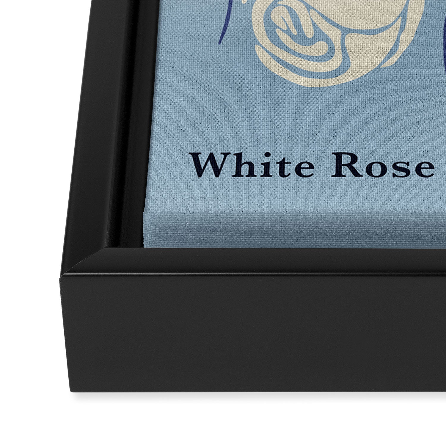 Cancer white rose  Framed Canvas Print Gallery Image 3