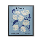Cancer white rose  Framed Canvas Print Gallery Image 6