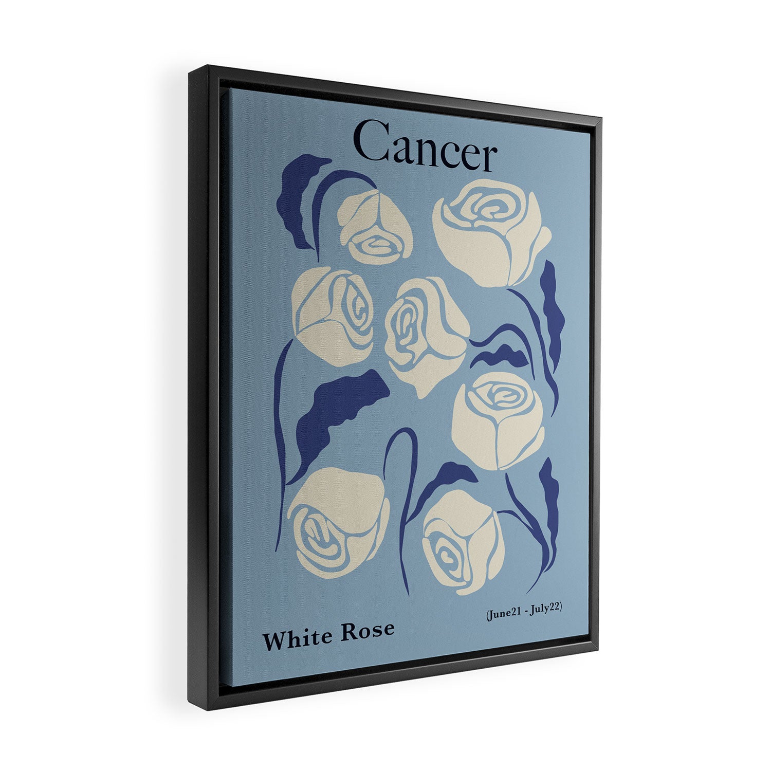 Cancer white rose  Framed Canvas Print Gallery Image 2