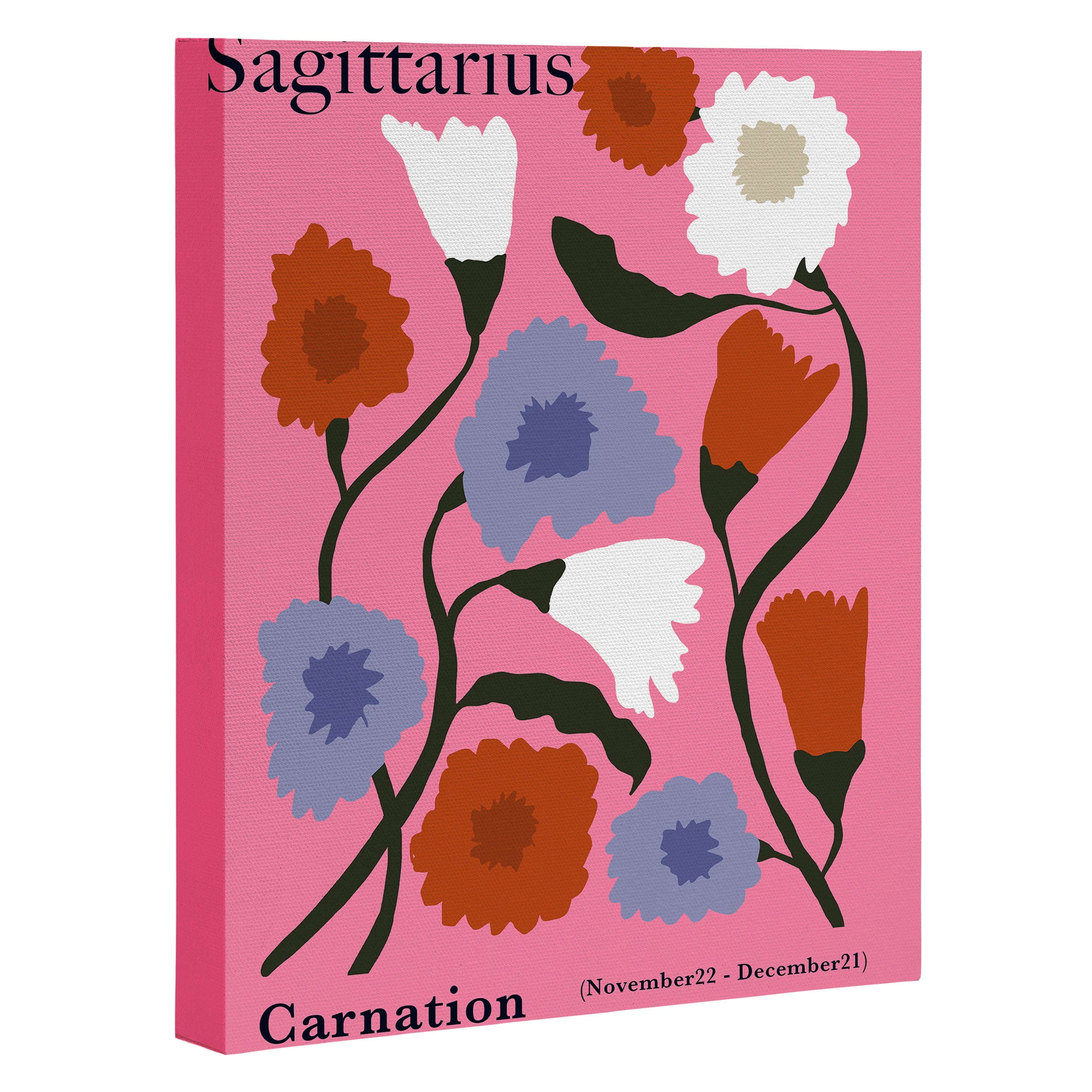 Sagittarius carnation Canvas Print Gallery Image 3