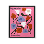 Sagittarius carnation Framed Canvas Print Gallery Image 6