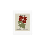 Scorpio red geranium  Art Print Gallery Image 1