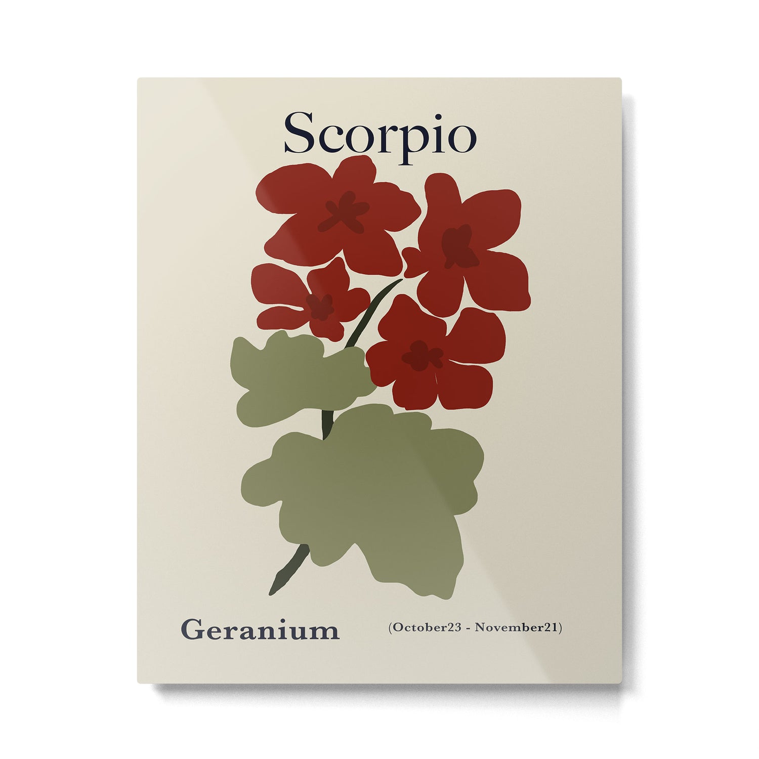 Scorpio red geranium  Metal Print Gallery Image 4