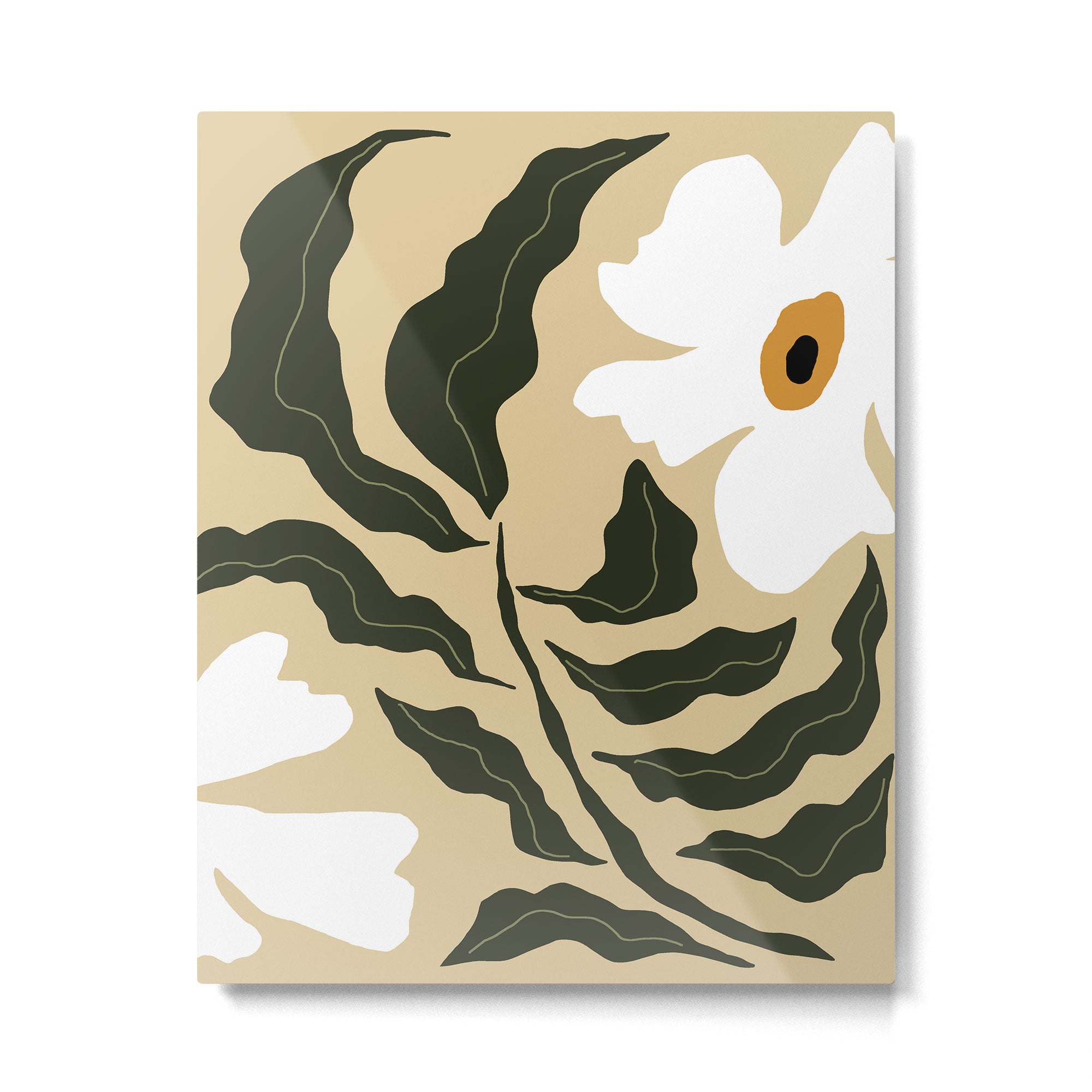 White daisy  Metal Print Gallery Image 6