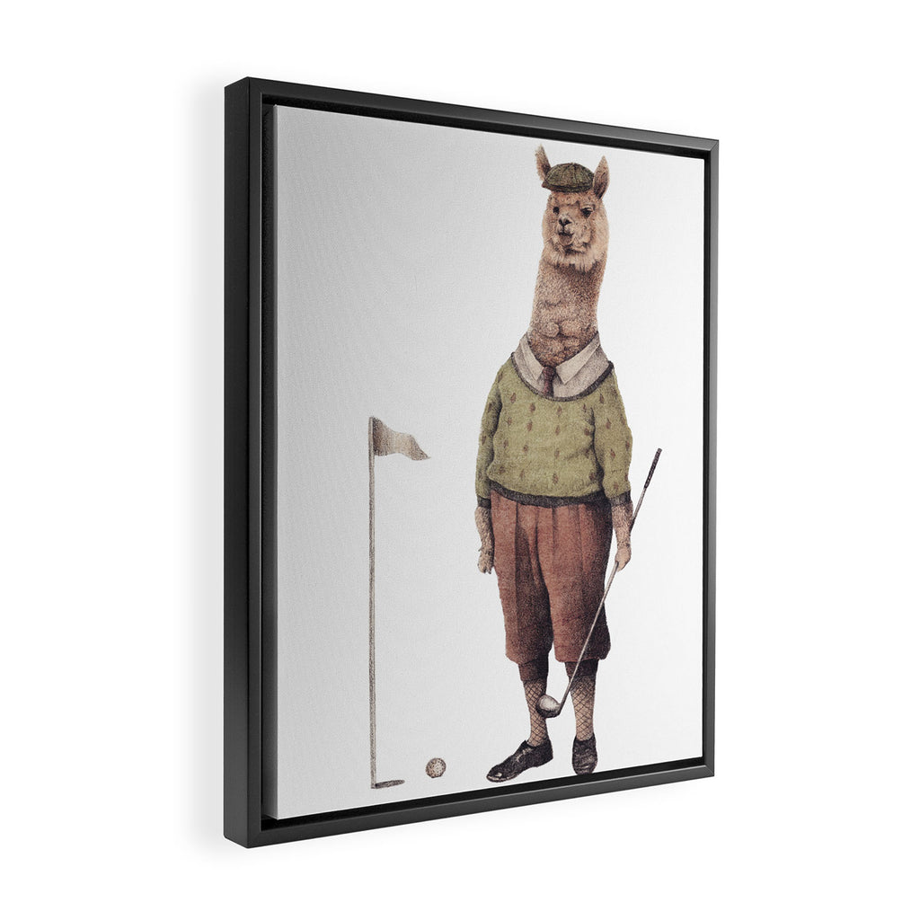 Alpaca Golf Club Framed Canvas Print Gallery Image 2
