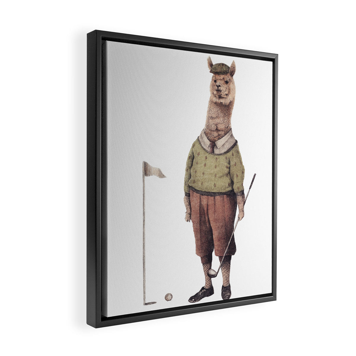 Alpaca Golf Club Framed Canvas Print Gallery Image 2