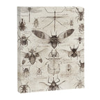 Insects Canvas Print Gallery Image 8