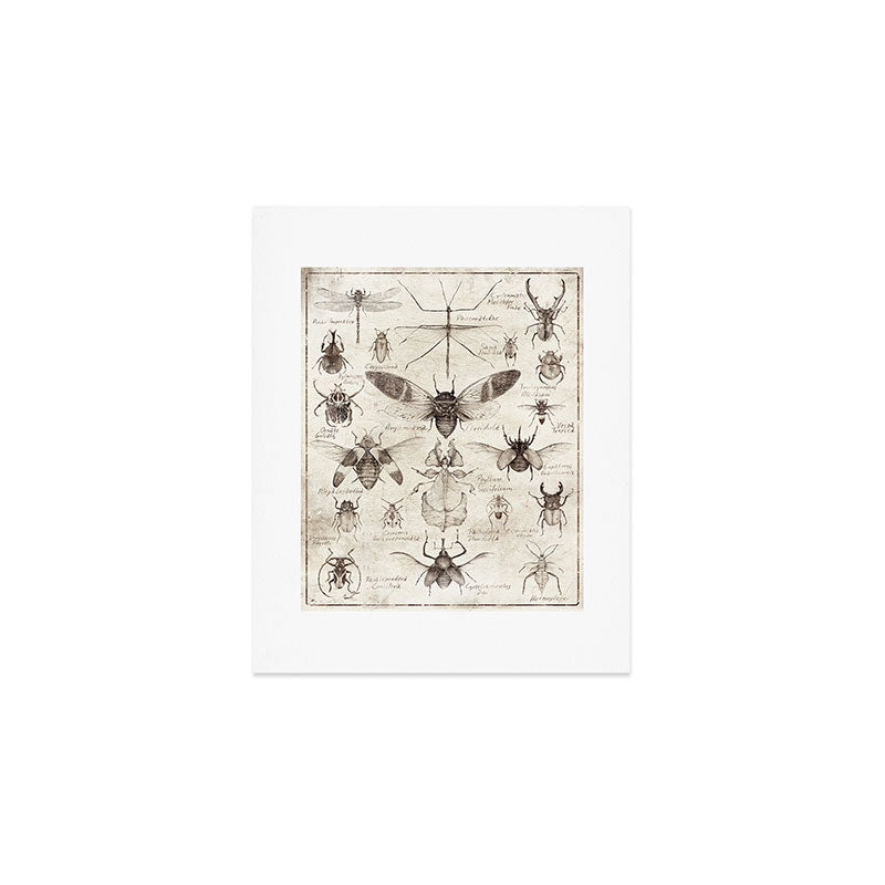 Insects Art Print Gallery Image 1