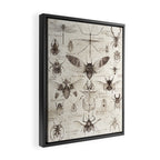 Insects Framed Canvas Print Gallery Image 2