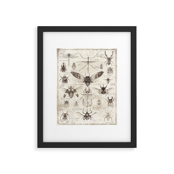 Insects Framed Art Print Gallery Image 1