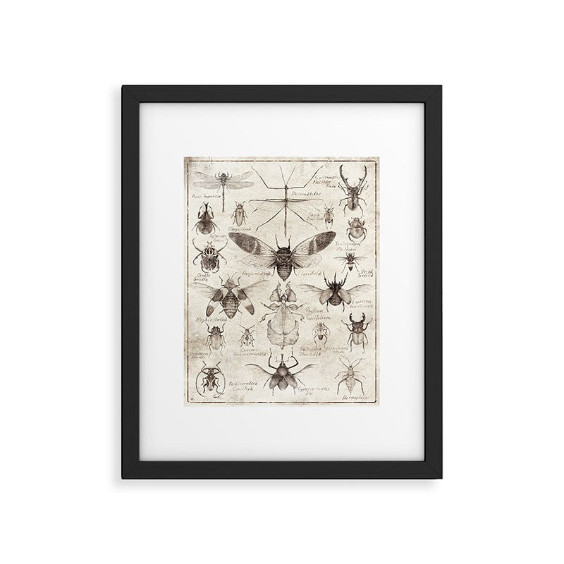 Insects Framed Art Print Gallery Image 6