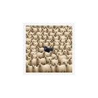 Black Sheep Art Print Gallery Image 1