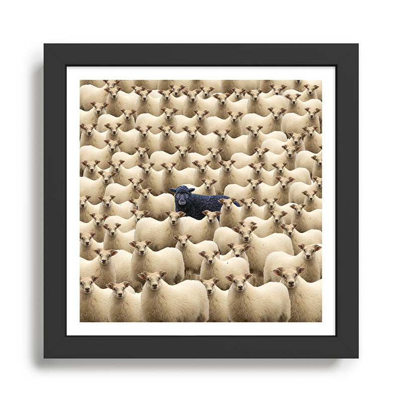 Black Sheep Framed Art Print Gallery Image 1