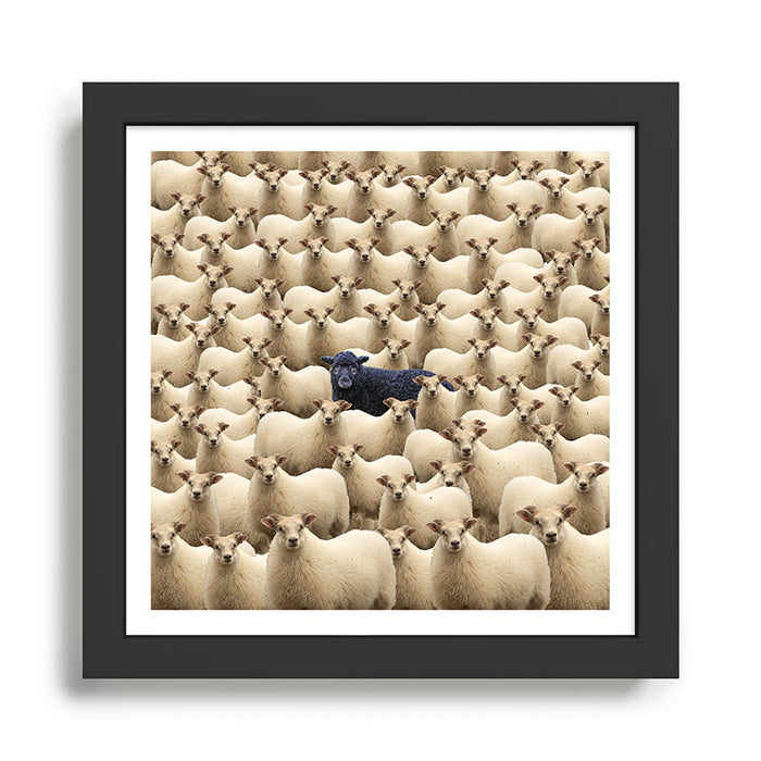 Black Sheep Framed Art Print Gallery Image 1