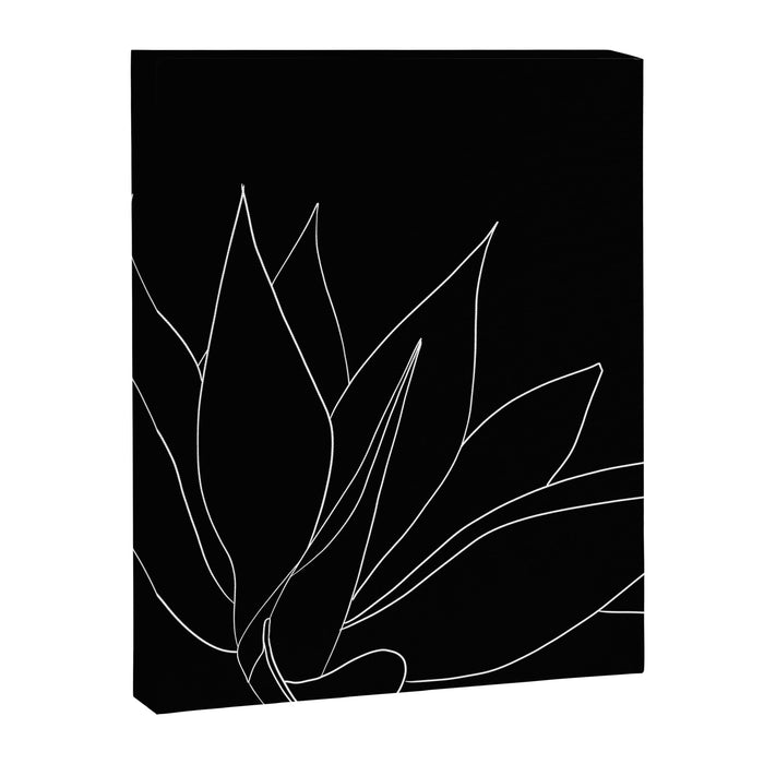 agave Canvas Print Gallery Image 1