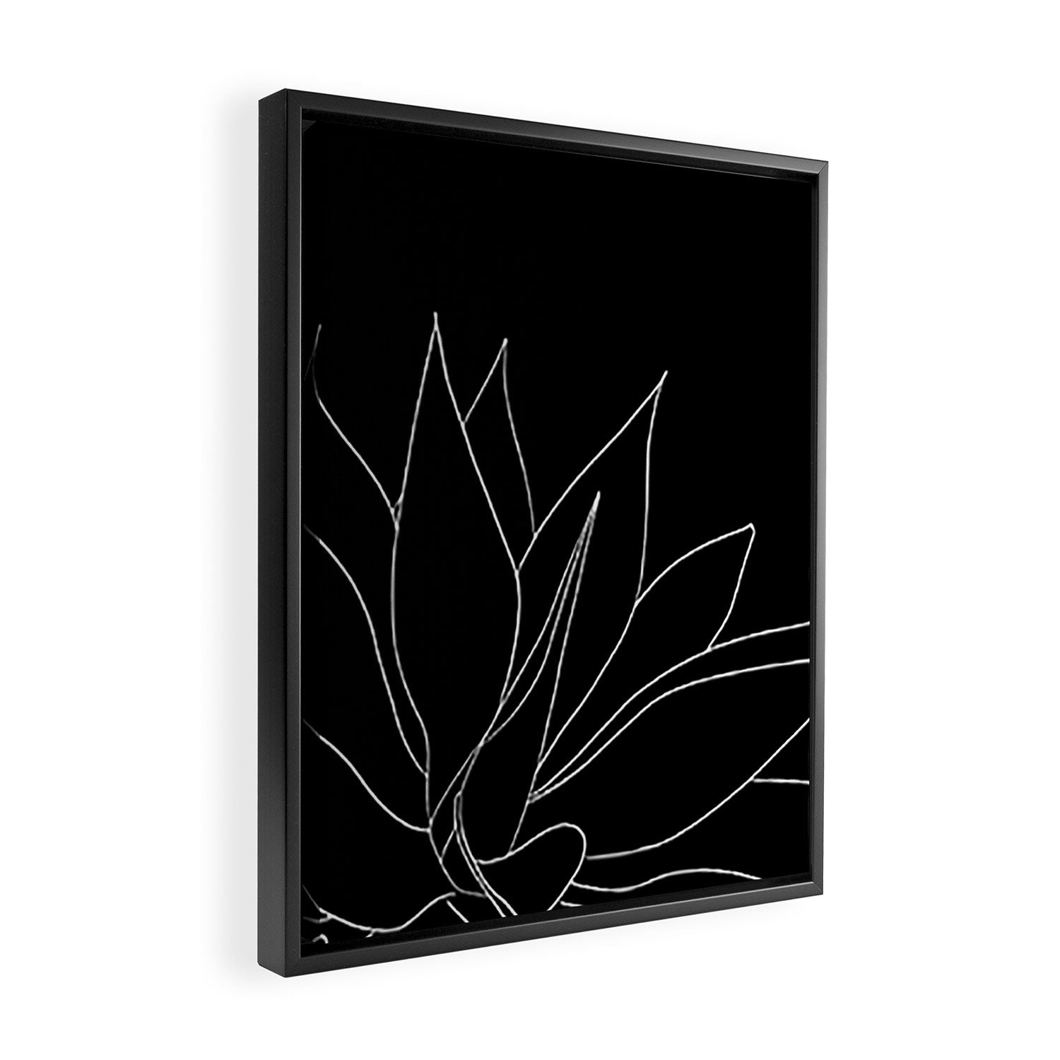 agave Framed Canvas Print Gallery Image 2