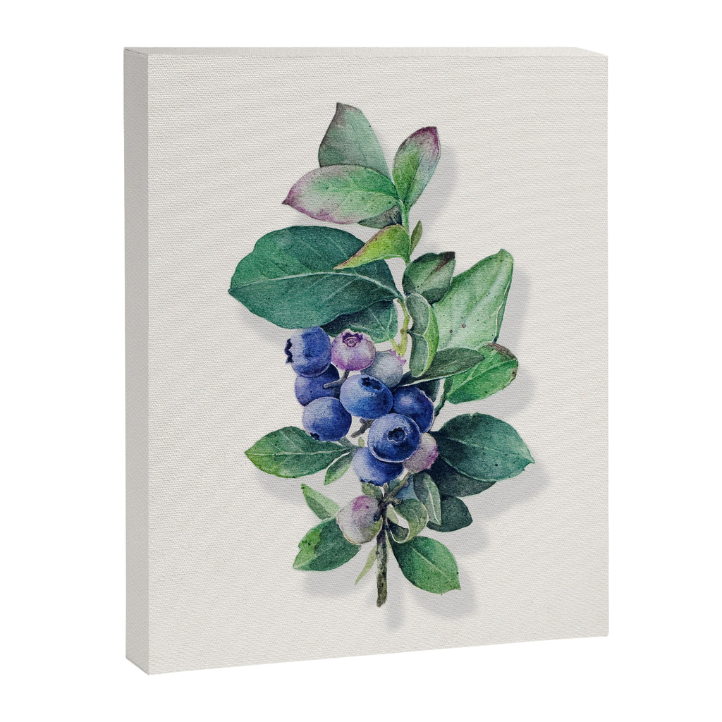 Blueberry branches painted in watercolor Canvas Print Gallery Image 8